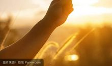 阳光·温暖