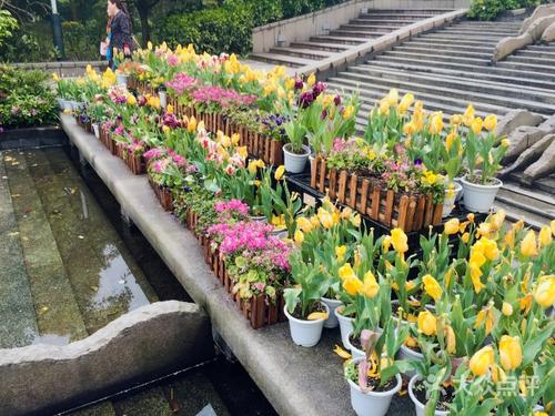 游览南山植物园