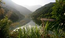 茅草坡，你还在那儿