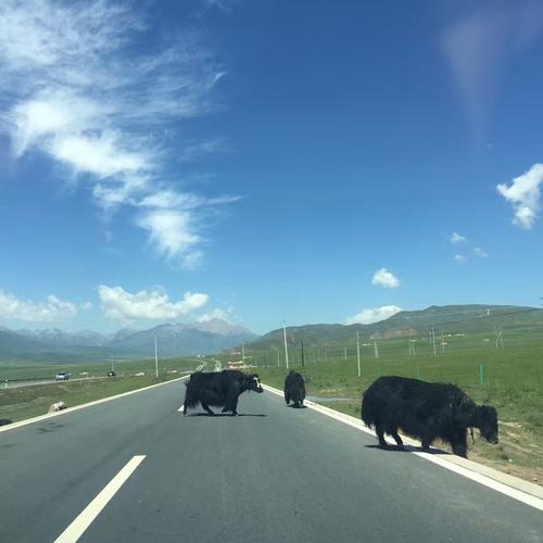 我们只有前进的道路
