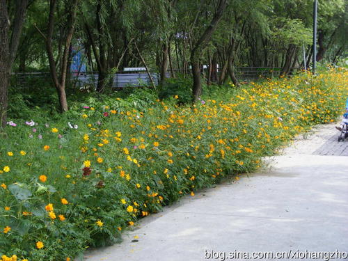 江阳帆生态园秋游