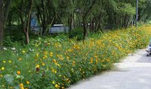 秋游江洋畈生态公园