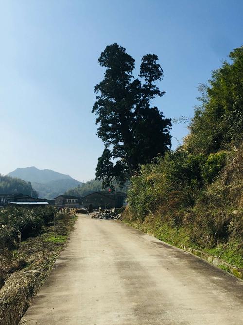 一路感恩节