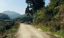 一路磨难一路感恩