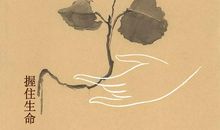 善待让生命更美好