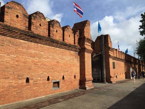 Thapae门的清迈饲养鸽子之旅