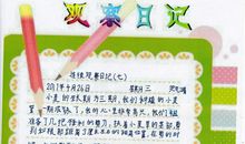 小麦成长观察日记