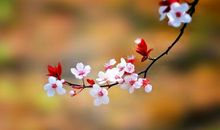 静听内心的声音