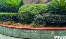 爸爸的故乡横溪