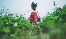 怀念阳光的日子