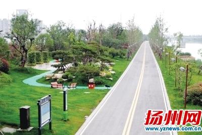 在双姑渡公园散步