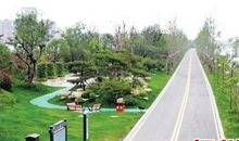 散步双古渡公园