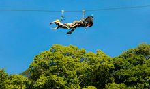 有趣的丛林飞跃