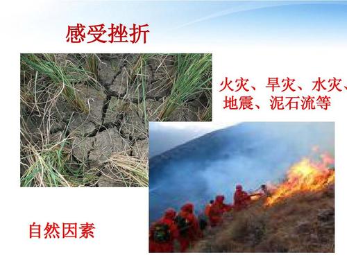 让挫败感成功的色彩