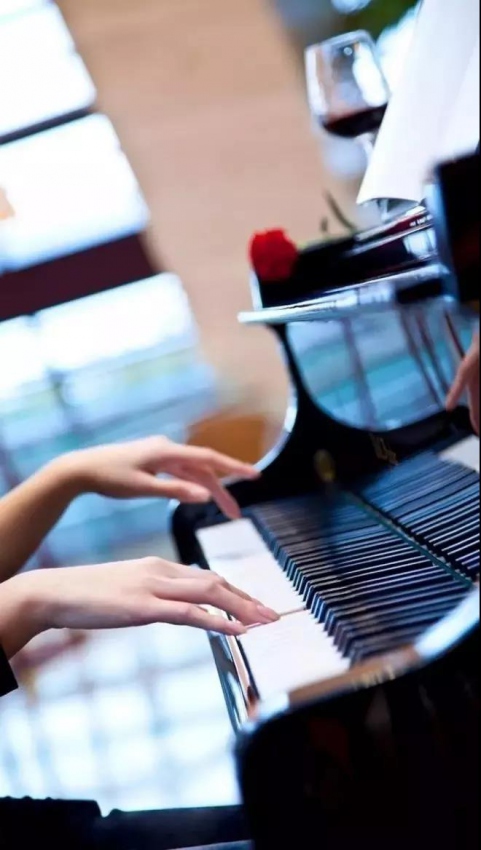 对不起，完美的美丽