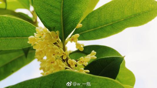 努力的成果
