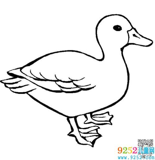 奶奶的小鸭子