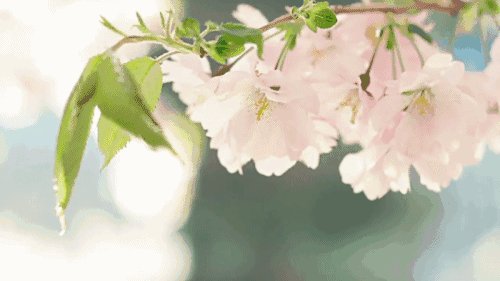 春天充满生命