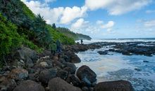 那儿是惬意的天堂