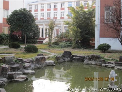 校园小水池
