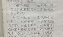 两个鸡蛋看图写话