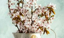 有时瞬间也是一种永恒