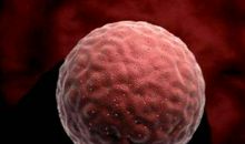 在那新生命诞生的时刻