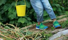 快乐“小农夫”