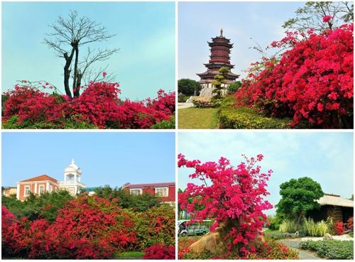 迷人花园博览馆