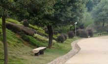 好玩的石马公园