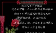 感谢相遇无畏离别