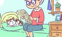 奶奶家的小花猫