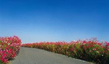 走好人生的开端