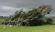 就这样奇怪地长大
