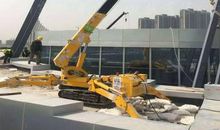 蜘蛛吊，客人到