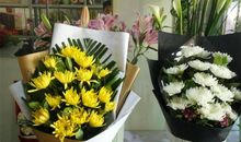 扫墓——祭奠曾经的战士