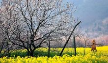 炊烟袅袅升味浓情更浓