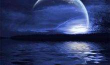 我的心因诗情而高贵