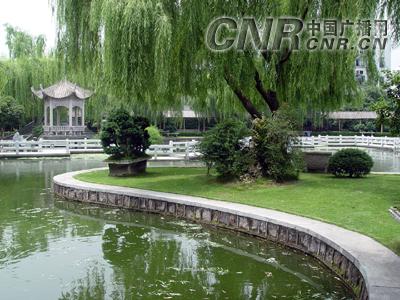 美丽的滕头公园