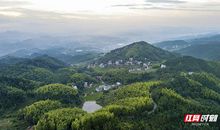 追逐心愿，绽放华彩