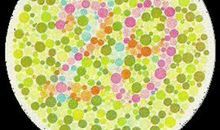 假如我是一个盘子