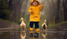 “大宝”的烦恼