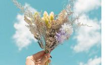 人生之路充满荆棘