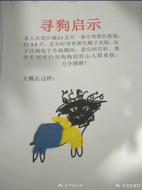 谈论零散的生活