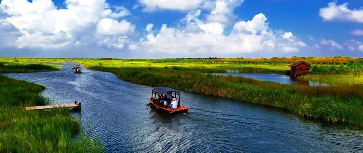 美丽的杭州湾湿地