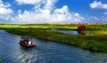 美丽的杭州湾湿地