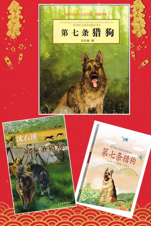 关于阅读《第七猎犬》的思考
