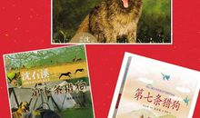 读《第七条猎狗》有感