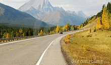 马路上的“风景”