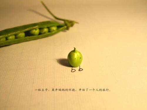 小豆子的启示